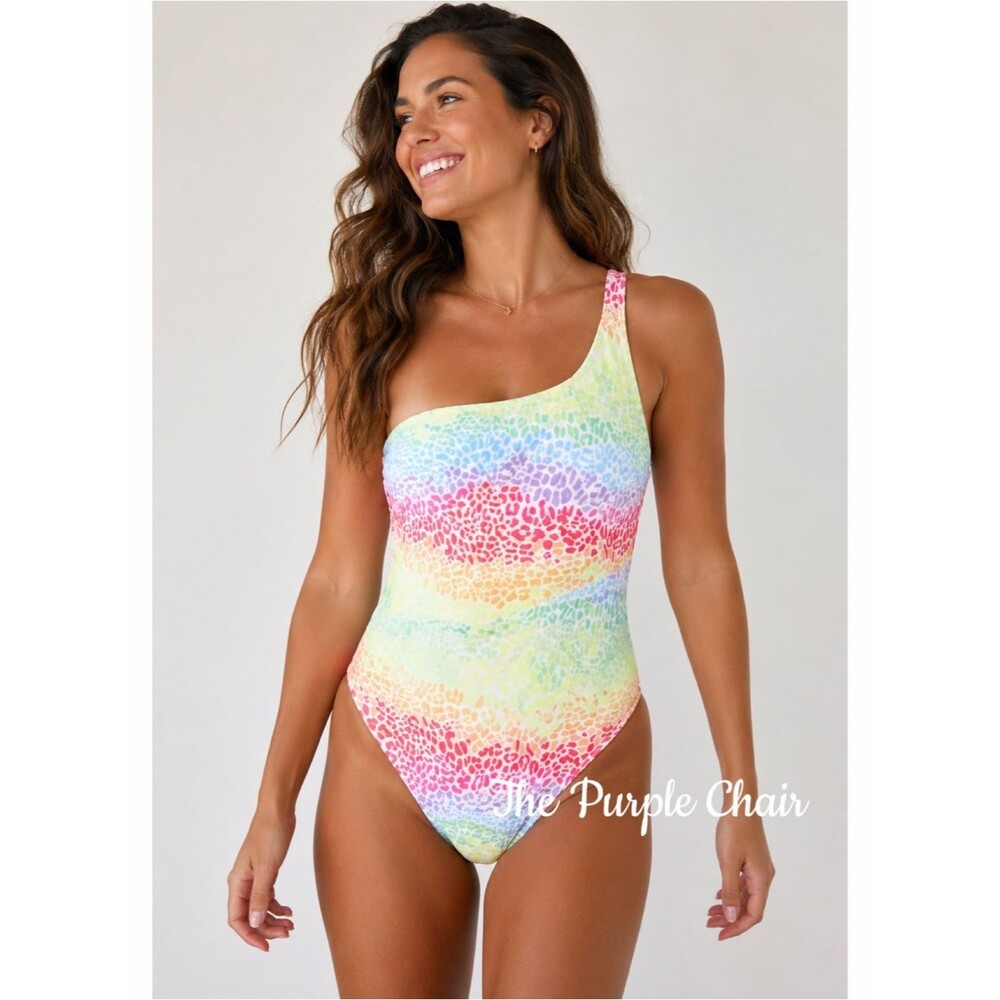 ONIA NWT ($198) Rainbow Leopard One Shoulder Bathing Suit L